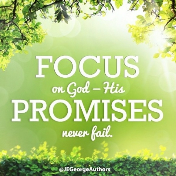 Meet your Posher, Dee - Picture 5 of 6